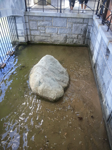 Insurance Company «Plymouth Rock Assurance», reviews and photos