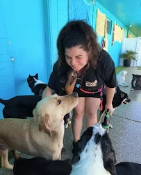 Paradise Dogs 24/7 - Car repair in Phoenix, AZ, Scottsdale - Rated 4.7/5