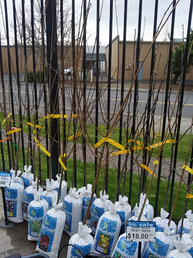 Animal Feed Store «Wilco Farm Store», reviews and photos, 2950 S Santiam Hwy, Lebanon, OR 97355, USA