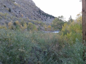 Whitewater Park - photo 45