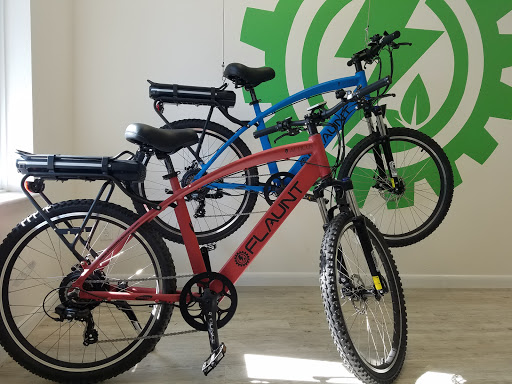 Bicycle Store «FLAUNT Electric Bicycles», reviews and photos, 105 Magnolia St, New Smyrna Beach, FL 32168, USA