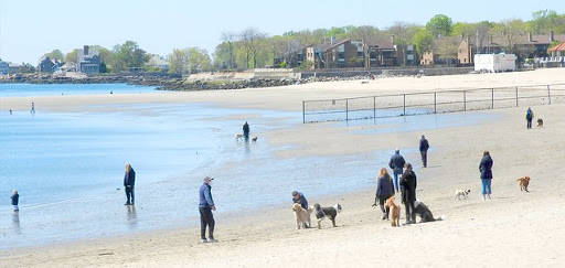 Dog Park «Mt. Airy Dog Park», reviews and photos, 3006 Westwood Northern Blvd, Cincinnati, OH 45211, USA