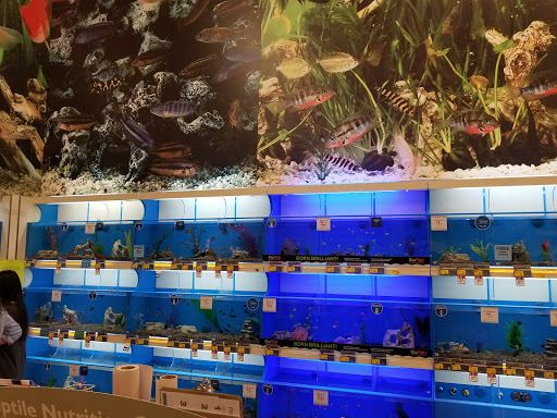 Pet Supply Store «PetSmart», reviews and photos, 2901 Texas Sage Trail, Fort Worth, TX 76177, USA