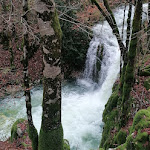 Photo n° 8 de l'avis de Olivier.u fait le 21/11/2023 à 17:18 pour Parc naturel régional du Haut-Jura à Lajoux
