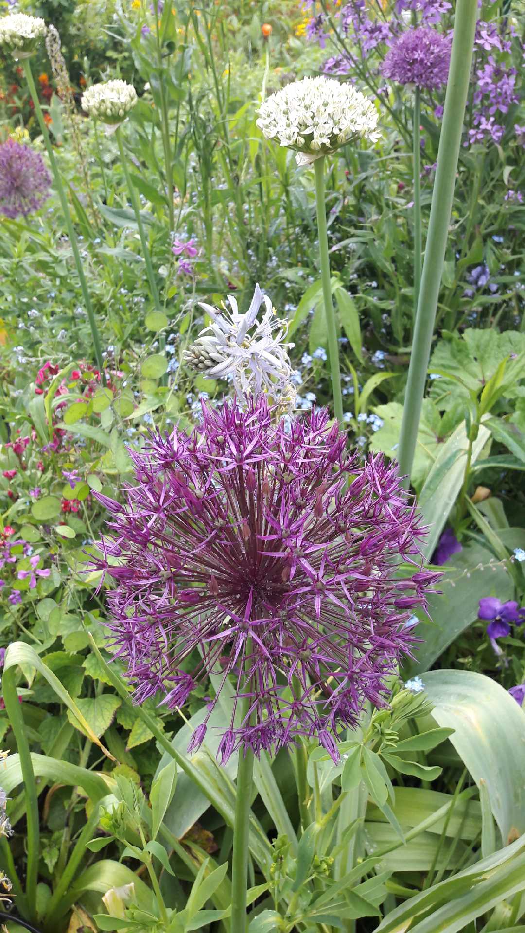 Photo n° 11 de l'avis de Olive.. fait le 19/05/2019 à 15:09