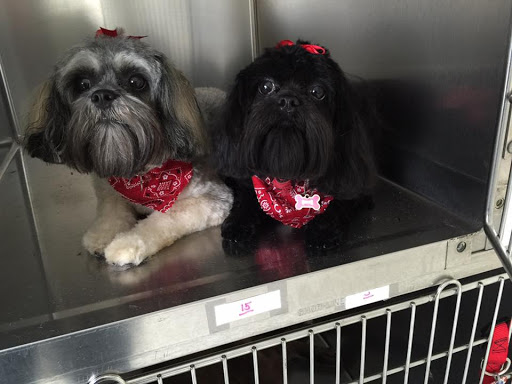 Powhatan Grooming Spa and Daycare