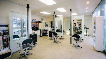 holland hair salon