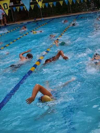 Commonwealth Swim Club