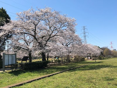 柏ふるさと公園