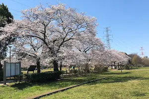 Kashiwafurusato Park image