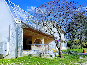 Collège Vallée Violette