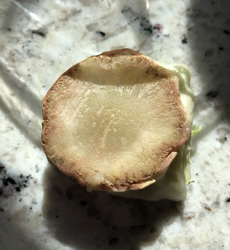 Breakfast Restaurant «Kneaders Bakery & Cafe», reviews and photos, 1105 Sergeant Jon Stiles Dr, Highlands Ranch, CO 80129, USA