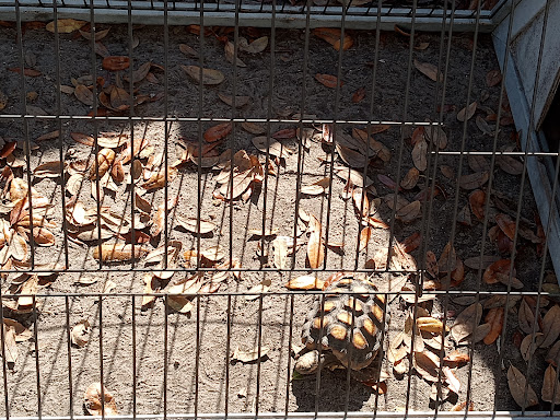 Aquarium «Aquarium Tarpon Springs», reviews and photos, 850 Dodecanese Blvd, Tarpon Springs, FL 34689, USA