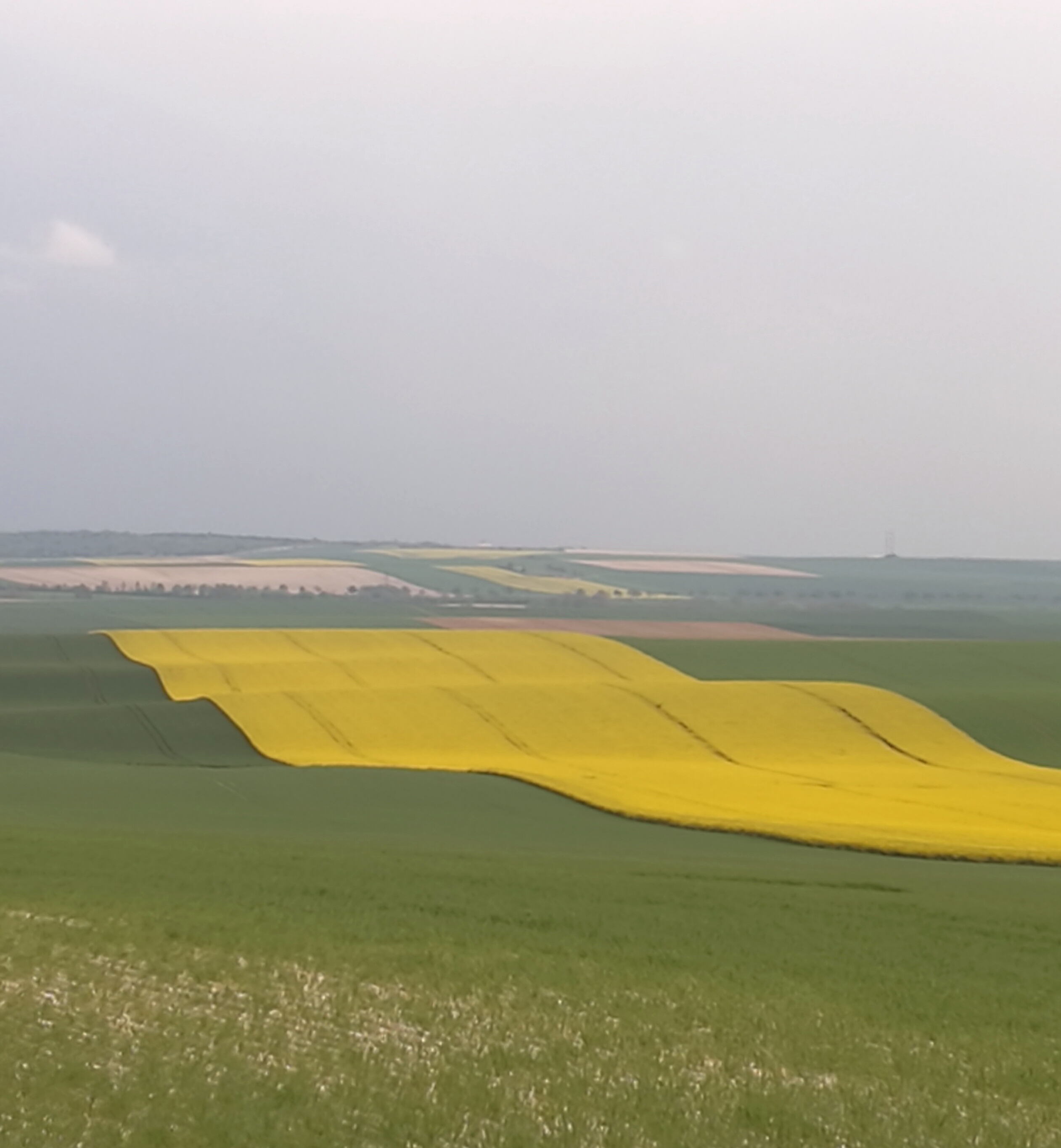 Photo n° 1 de l'avis de Piriou.o fait le 04/05/2019 à 17:23