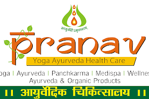 Pranav Yoga Ayurveda Healthcare-Ayurveda Panchkarma hospital and Yoga Classes image