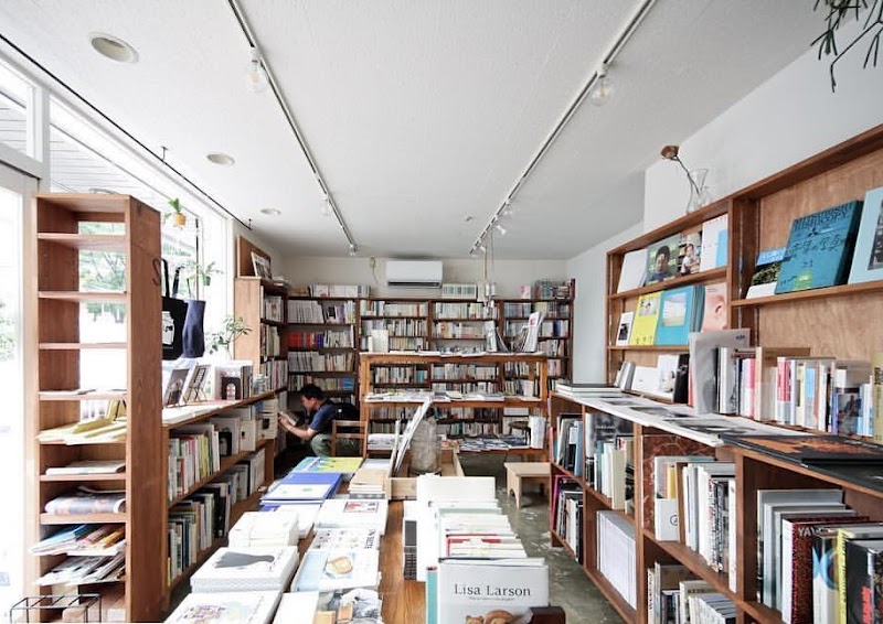 blackbird books