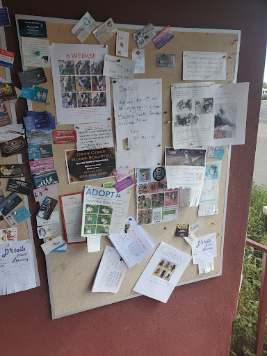 Animal Feed Store «Western Ranchman Store», reviews and photos, 16028 N 32nd St, Phoenix, AZ 85032, USA