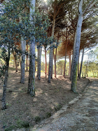 Photos des visiteurs Villa Villa 32, copropriété les mas de gigaro 83420 La Croix-Valmer