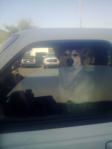 Auto Parts Store «NAPA Auto Parts Riebes Auto Parts, LLC», reviews and photos, 4050 Mother Lode Dr, Shingle Springs, CA 95682, USA