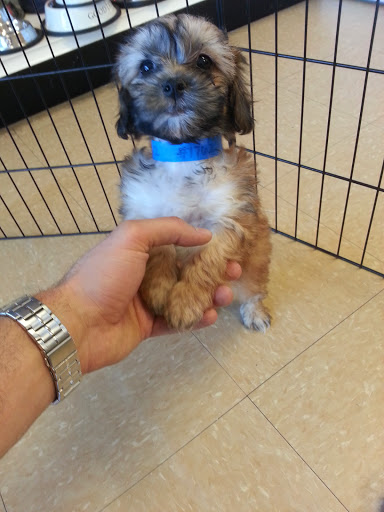 Pet Supply Store «Just Pets», reviews and photos, 8874 Maximus Dr, Lone Tree, CO 80124, USA