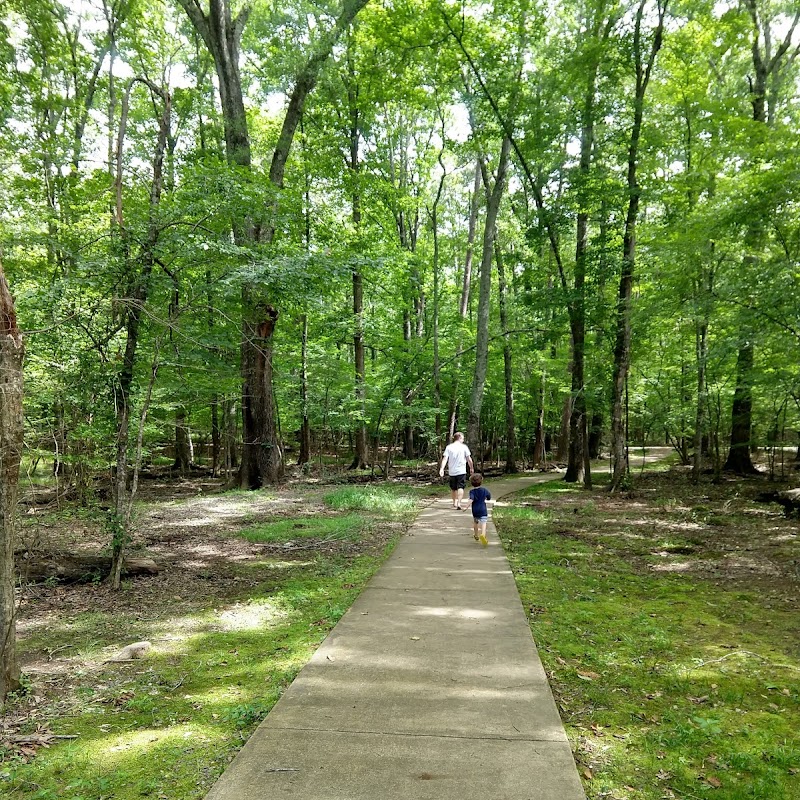 Arkansas Arboretum