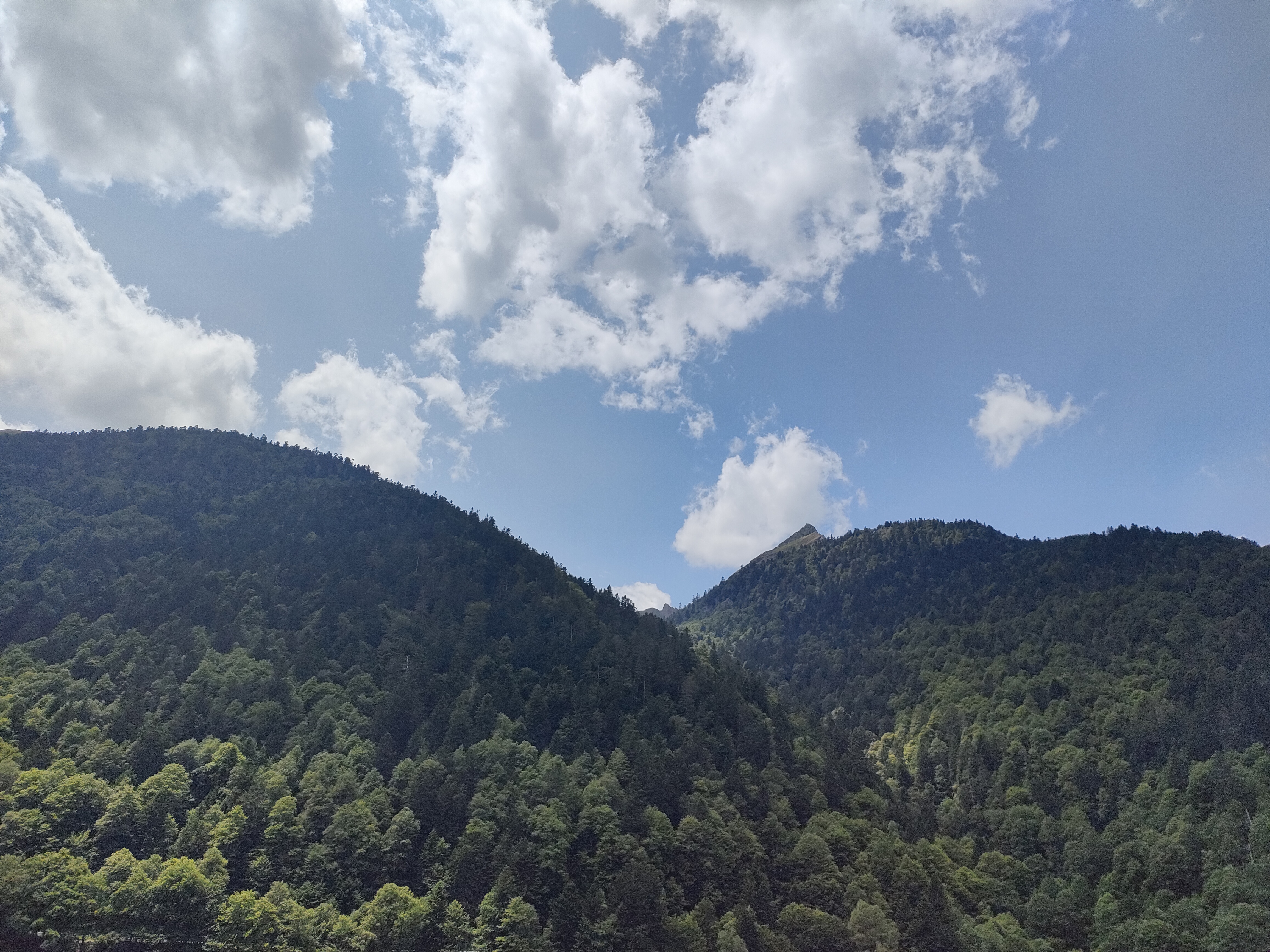 Photo n° 1 de l'avis de Bruno.u fait le 16/08/2023 à 17:05