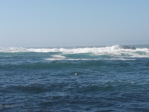 Museum «Selena Museum», reviews and photos, 5410 Leopard St, Corpus Christi, TX 78408, USA