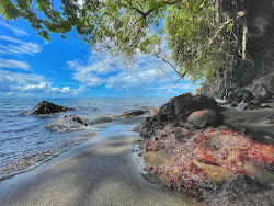 Plage de l'Anse Collat'in fotoğrafı düz bir kıyı şeridi ile birlikte