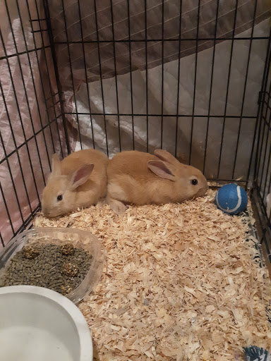 Pet Supply Store «Pet Depot», reviews and photos, 14236 US-431, Guntersville, AL 35976, USA