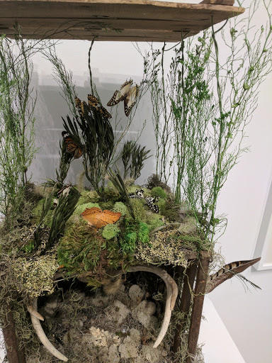 Art Museum «The Heckscher Museum of Art», reviews and photos, 2 Prime Ave, Huntington, NY 11743, USA