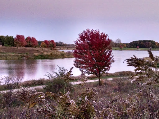 Nature Preserve «Independence Grove Forest Preserve», reviews and photos, 16400 Buckley Rd, Libertyville, IL 60048, USA