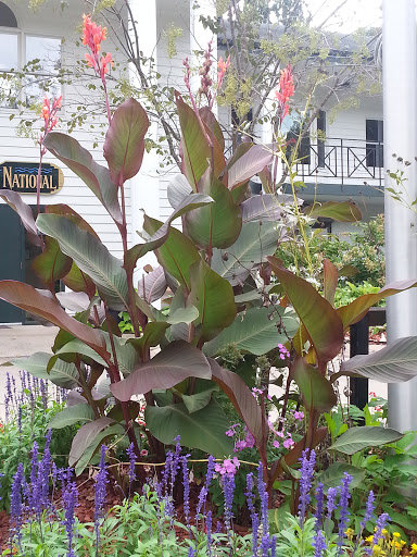 Golf Course «Mississippi National Golf Links», reviews and photos, 409 Golf Links Dr, Red Wing, MN 55066, USA