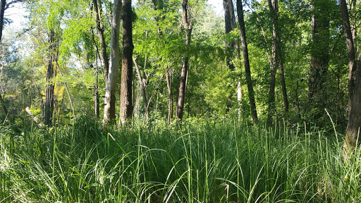 Park «Anderson River Park», reviews and photos