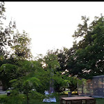 Photo n°1 de l'avis de Enrico.' fait le 01/08/2023 à 08:08 sur le  Il Chiringuito à Bozzole