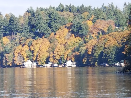 State Park «Dash Point State Park», reviews and photos, 5700 SW Dash Point Rd, Federal Way, WA 98023, USA