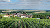 Point de vue du Mesnil sur Oger Le Mesnil-sur-Oger