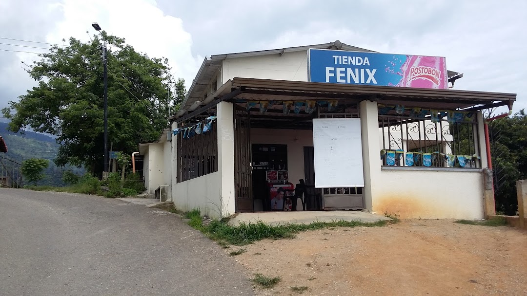 Tienda Fenix