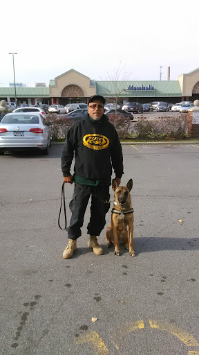 Pet Supply Store «Pet Supplies Plus», reviews and photos, 2155 Delaware Ave, Buffalo, NY 14216, USA