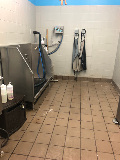 Pet Supply Store «Pet Supplies Plus», reviews and photos, 4808 Ridge Rd, Brooklyn, OH 44144, USA