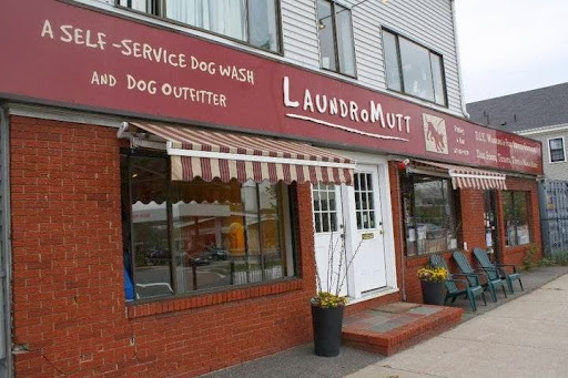 LaundroMutt