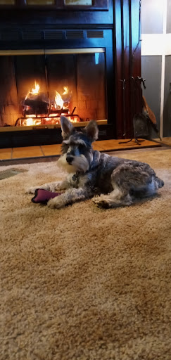 Home Improvement Store «Murray True Value Home & Auto Hardware», reviews and photos, 972 Chestnut St, Murray, KY 42071, USA