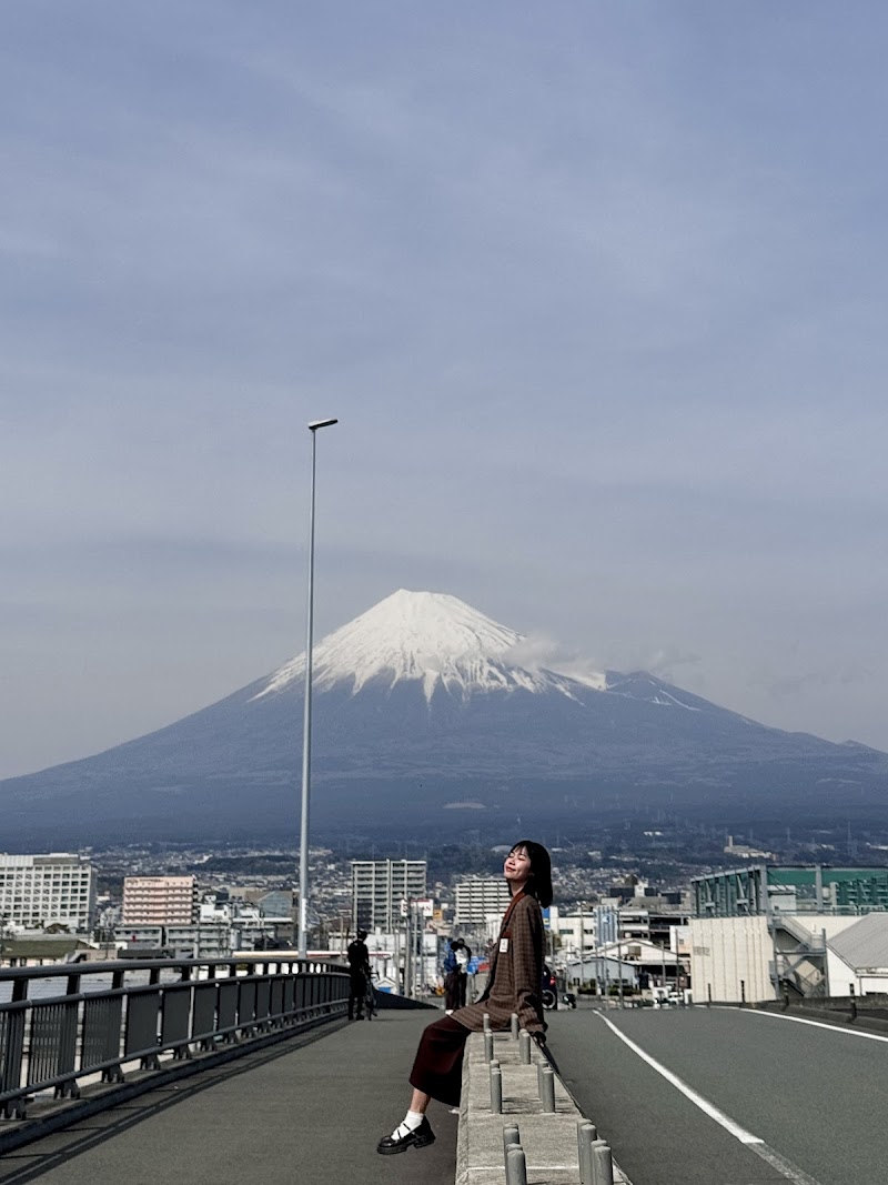 富士山夢の大橋訪問者用駐車場