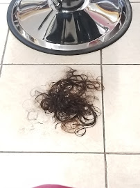 J's Personal Touch Hair Salon - Photo 8 - Car repair in Yonkers, NY, Yonkers