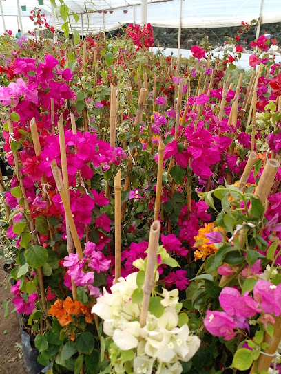 Vivero Jardín de la Patagonia