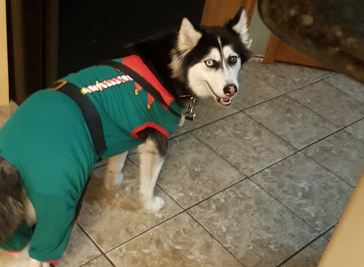 Pet Supply Store «The Dog House», reviews and photos, 4237 S Alameda St, Corpus Christi, TX 78412, USA