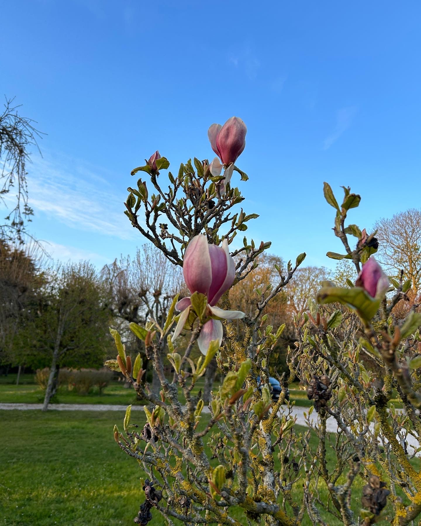 Photo n° 2 de l'avis de Jadranka.v fait le 22/04/2023 à 08:56