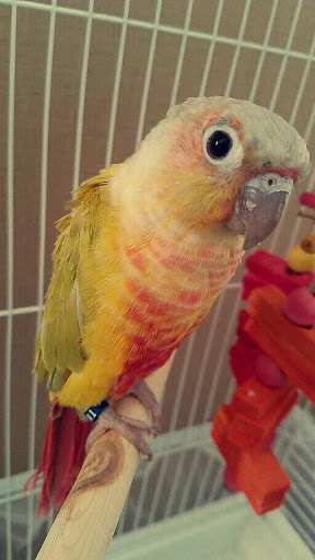 Pet Supply Store «Pet Supplies Plus», reviews and photos, 17205 S Golden Rd, Golden, CO 80401, USA