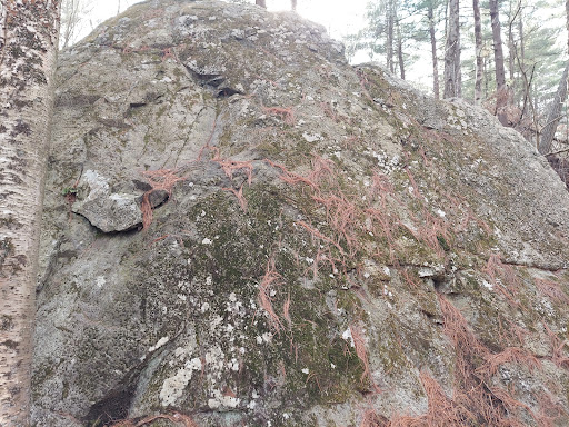 State Park «Wilson Mountain Reservation», reviews and photos, 384 Common St, Dedham, MA 02026, USA