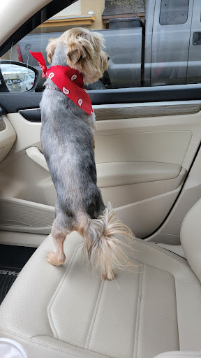 Pet Supply Store «Petco Animal Supplies», reviews and photos, 390 Universal Dr N, North Haven, CT 06473, USA