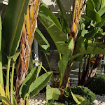 Photo n°1 de l'avis de Mrs.n fait le 17/04/2023 à 17:56 sur le  Apartamentos Turísticos Flor da Rocha à Portimão